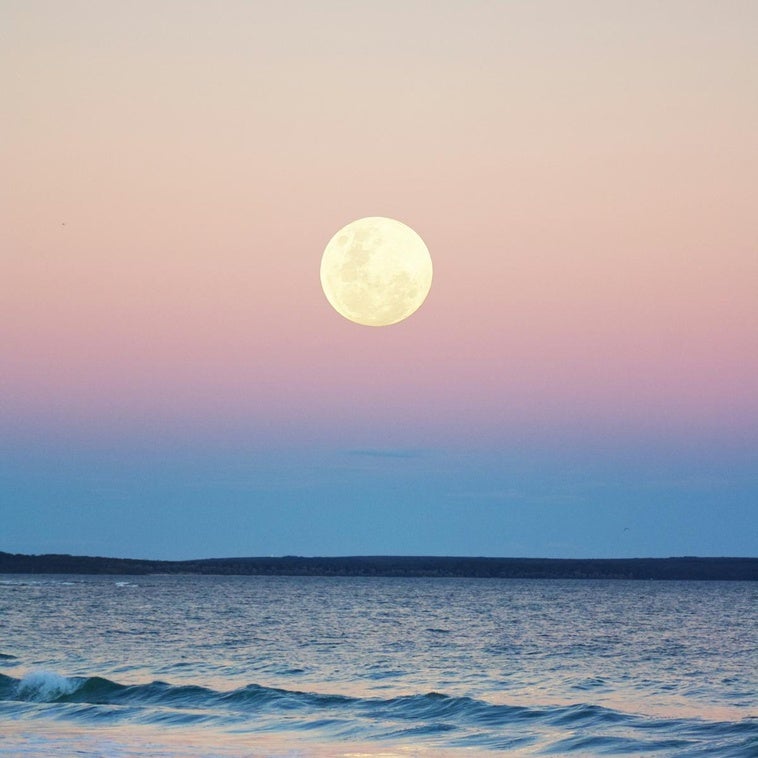 Cómo va a afectar la Luna Llena de junio a cada signo del zodiaco: aprovecha su energía con este ritual de transformación y buena suerte
